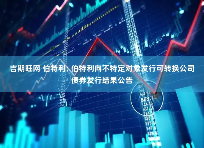 吉期旺网 伯特利: 伯特利向不特定对象发行可转换公司债券发行结果公告