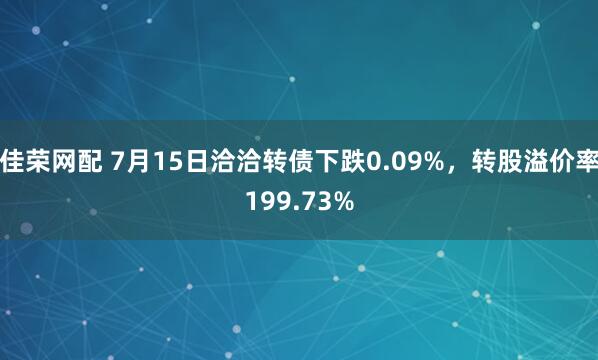 佳荣网配 7月15日洽洽转债下跌0.09%，转股溢价率199.73%
